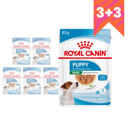 Royal Canin Mini Puppy 6x85g Mokra Karma w Sosie Dla Szczeniąt Do 10 Miesiąca Małych Ras 3+3 GRATIS