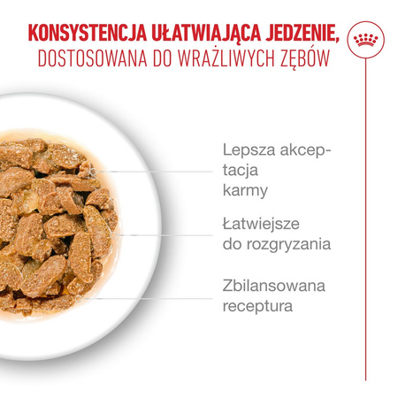 Royal Canin Ageing 11+ Jelly Karma Mokra 6x85g Kawałki w Galaretce Dla Kotów Dojrzałych Po 11 Roku Życia