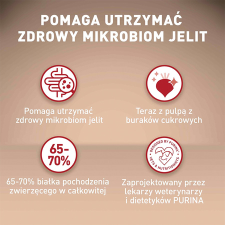 Purina One Mini Active 2x800g Sucha Karma Dla Psów Małych Ras Z Kurczakiem I Ryżem