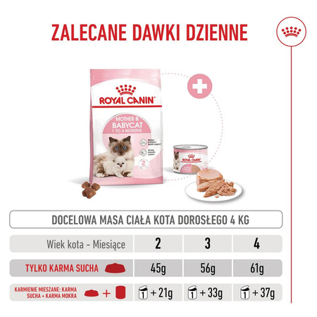 Royal Canin Mother&Babycat 2kg Karma Sucha Dla Kotek W Okresie Ciąży Laktacji i Kociąt Od 1 Do 4 Miesiąca Życia
