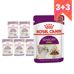 Royal Canin FHN Sensory Smell 6x85g Karma Mokra Kawałki W Sosie Dla Kotów Dorosłych Pobudzająca Wrażenia Węchowe 3+3 GRATIS
