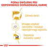 Royal Canin BHN Maltese Adult 1,5kg Karma Sucha Dla Psów Dorosłych Rasy Maltańczyk