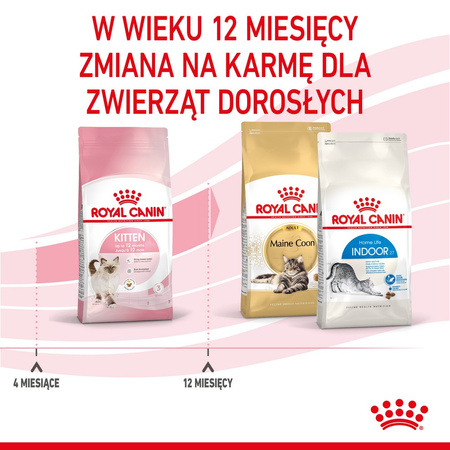 Royal Canin Fhn Kitten 10kg Karma Sucha Dla Kociąt +12x85g Mokra Karma w Sosie
