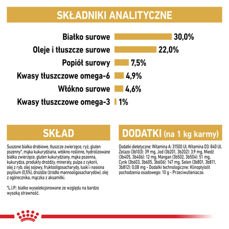 Royal Canin FBN Persian Adult 10kg Karma Sucha Dla Kotów Dorosłych Rasy Pers