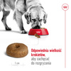 Royal Canin SHN Maxi Adult 8+ 15kg Karma Sucha Dla Psów Dojrzałych Po 8 Roku Życia Ras Dużych