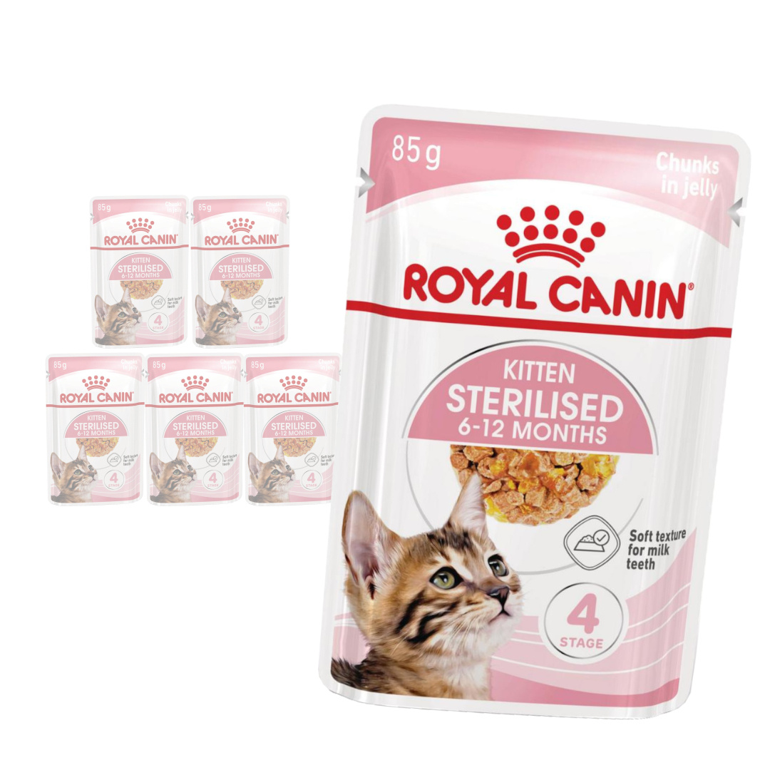 Royal Canin Kitten Sterilised W Galaretce Karma Mokra Dla Kociąt