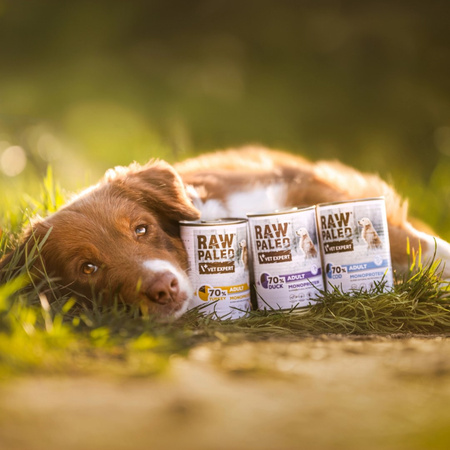 Vet Expert Raw Paleo Adult Monoprotein 6x400g Mokra Karma Dla Psa z Indykiem