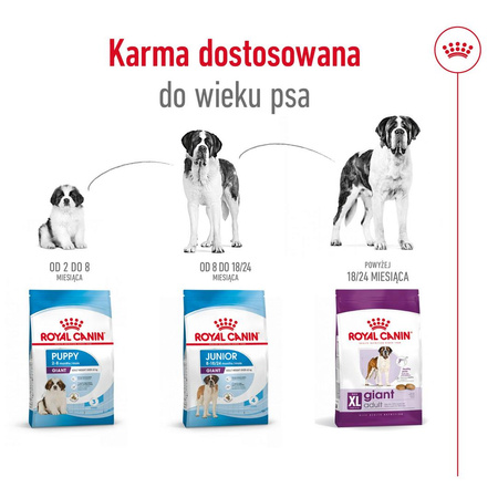 Royal Canin Giant Adult 15kg Karma Sucha Dla Psów Dorosłych Od 18/24 Miesiąca Życia Ras Olbrzymich