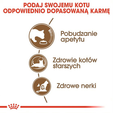 Royal Canin Ageing +12 Senior 4kg Karma Sucha Dla Kotów Dojrzałych Powyżej 12 Roku Życia