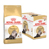 Royal Canin Persian Adult 10kg+12x85g Karma Dla Dorosłego Kota