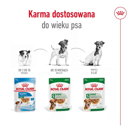 Royal Canin SHN Mini Adult 24x85g Karma Mokra W Sosie Dla Psów Dorosłych Ras Małych