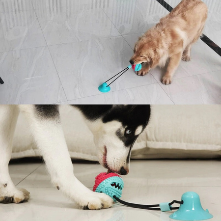 Zabawka gryzak dla psa SNACK BALL, piłka z dozownikiem na przyssawce kolor TURKUSOWO-CZERWONY