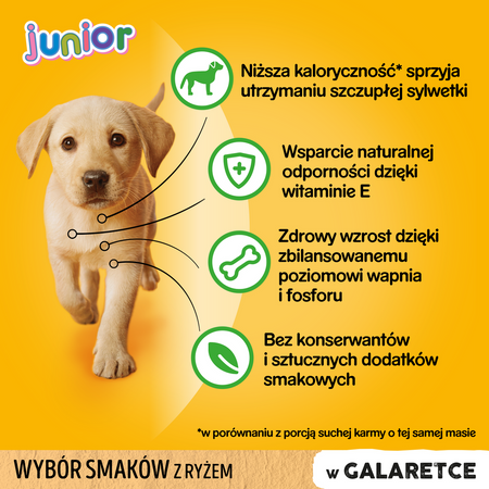 Pedigree Junior Saszetka 12x100g Mokra Karma W Galaretce Dla Psa Mix Czterech Smaków