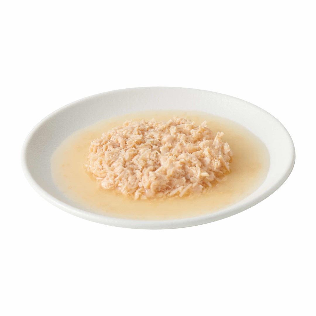 John Dog Tasty Broth