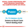 Royal Canin BHN French Bulldog Puppy 3kg Karma Sucha Dla Szczeniąt Do 12 Miesiąca Rasy Bulldog Francuski