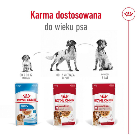 Royal Canin Medium Adult 140g Mokra Karma W Sosie Dla Psów Dorosłych Ras Średnich