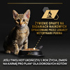 Purina Pro Plan Kitten Healthy Start 24x85g Mokra Karma Dla Kociąt Mus z Kurczakiem