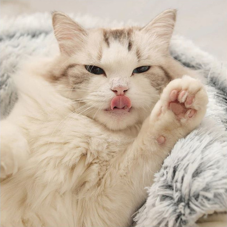 Legowisko Pluszowe dla Psa Kota z Kocykiem Brązowe S