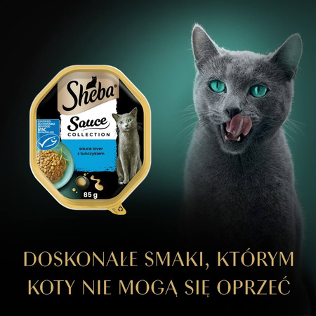Sheba Sauce Collection Tacka 6x85g Mokra Karma Pełnoporcjowa Dla Kota Kawałki Z Tuńczykiem W Sosie