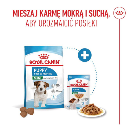 Royal Canin Mini Puppy 48x85g Mokra Karma w Sosie Dla Szczeniąt Do 10 Miesiąca Małych Ras