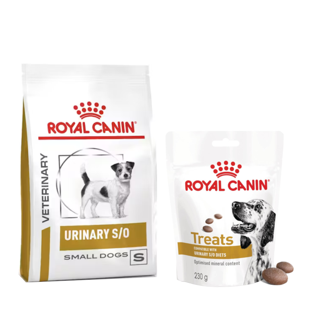 Royal Canin Veterinary Urinary S/O Small 1,5kg Sucha Karma Dla Psów Małych Ras Na Kamienie Struwitowe