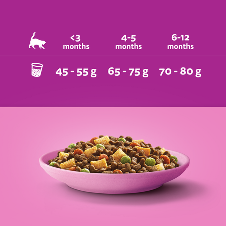 Whiskas Junior 6x300g Sucha Karma Pełnoporcjowa Dla Kociąt Z Kurczakiem