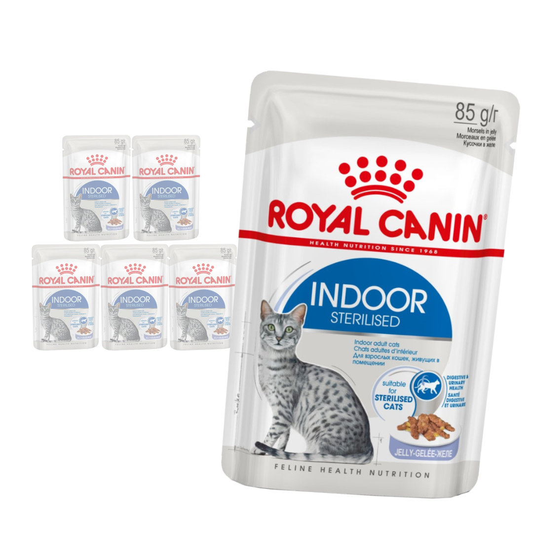 Royal Canin Indoor Sterilised w Galaretce