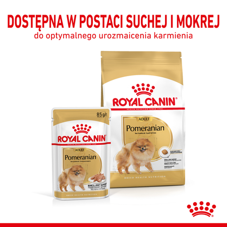 Royal Canin Pomeranian Adult Karma Mokra, Pasztet Dla Psów Dorosłych Rasy Szpic Miniaturowy 85g