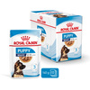 Royal Canin Maxi Puppy 10x140g Karma Mokra W Sosie Dla Szczeniąt Do 15 Miesiąca Życia Ras Dużych