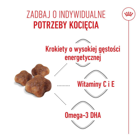 Royal Canin Mother&Babycat 2kg Karma Sucha Dla Kotek W Okresie Ciąży Laktacji i Kociąt Od 1 Do 4 Miesiąca Życia