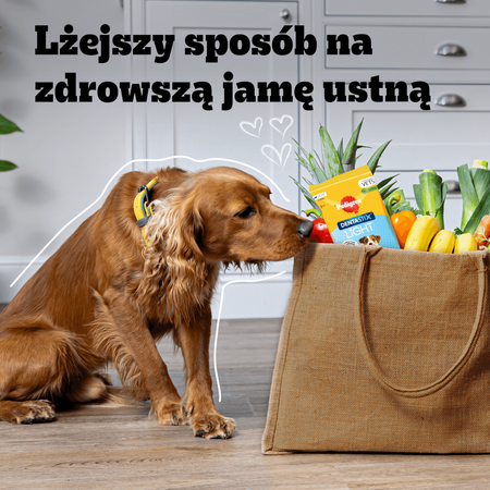Pedigree Dentastix Light Dental Chews 58g Przysmak Dentystyczny Dla Psów Ras Małych
