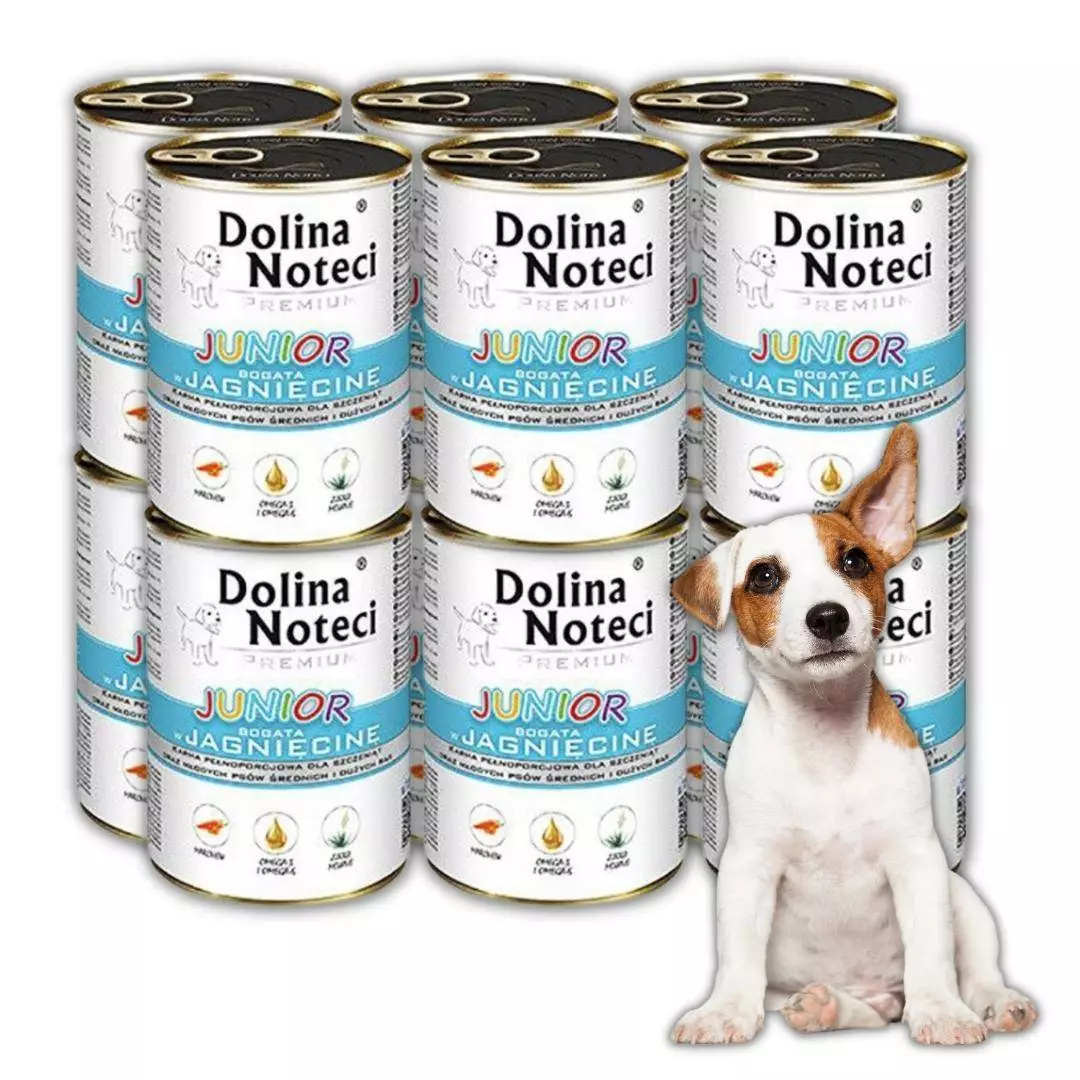 Dolina Noteci Premium Junior Mokra Karma Dla Psa Bogata w Jagnięcinę