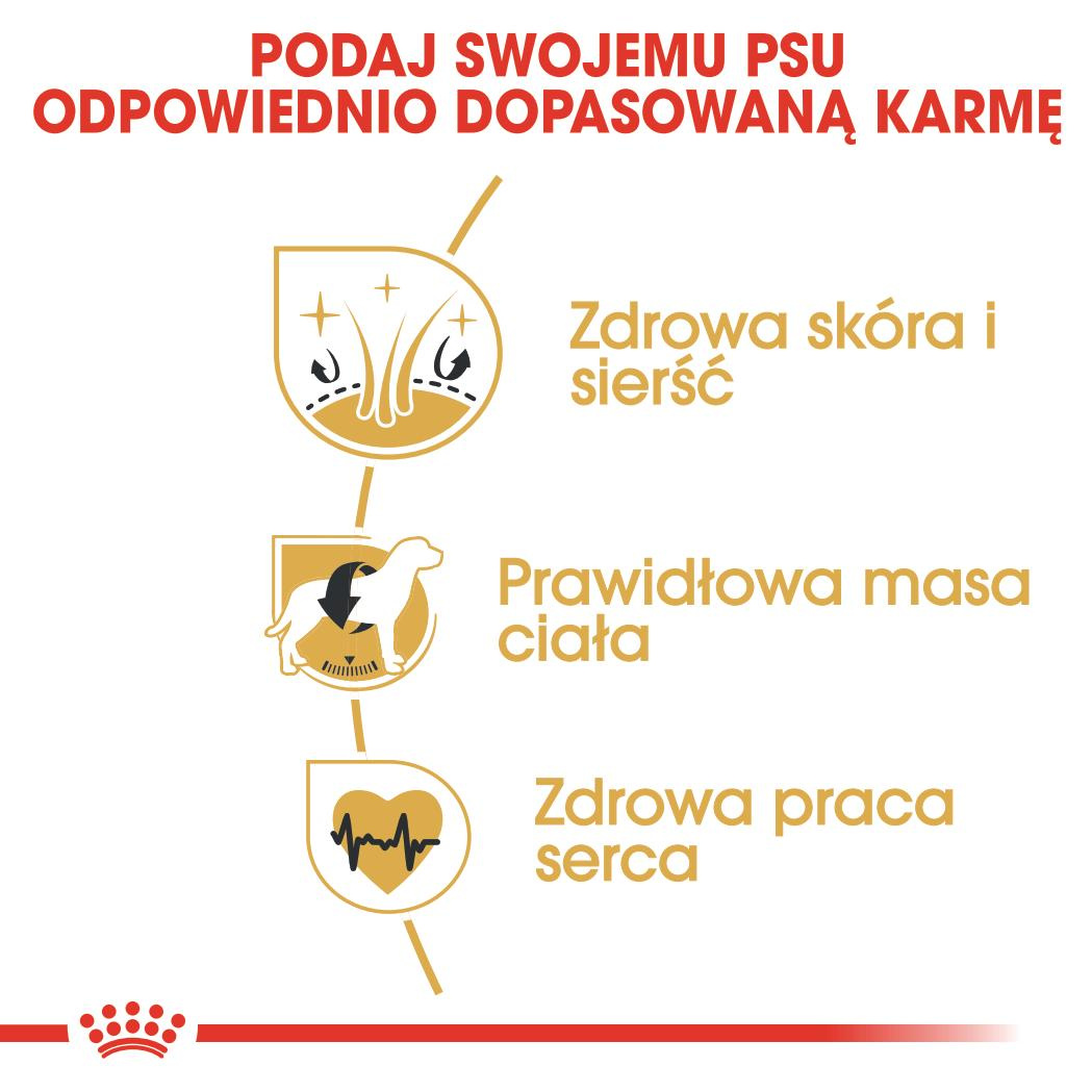 Karma Sucha Dla Psów Dorosłych Rasy Cocker Spaniel