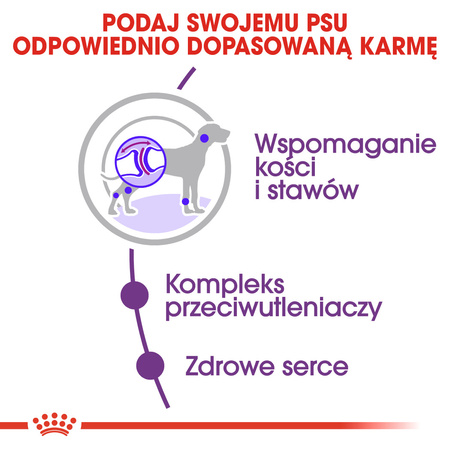 Royal Canin Giant Adult Karma Sucha Dla Psów Dorosłych Ras Olbrzymich 2x15kg