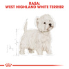 Royal Canin BHN West Highland White Terrier Adult 500g Karma Sucha Dla Psów Dorosłych Rasy West Highland White Terrier