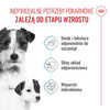 Royal Canin Starter Mousse Mother & Babydog 12x195g Karma Mokra Mus Dla Suk W Czasie Ciąży Laktacji I Szczeniąt