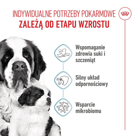 Royal Canin Giant Starter Mother & Babydog 1kg Karma Sucha Dla Suk W Czasie Ciąży Laktacji I Szczeniąt Ras Olbrzymich