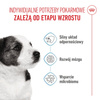 Royal Canin Mini Puppy 8kg Karma Sucha Dla Szczeniąt Od 2 Do 10 Miesiąca Życia, Ras Małych