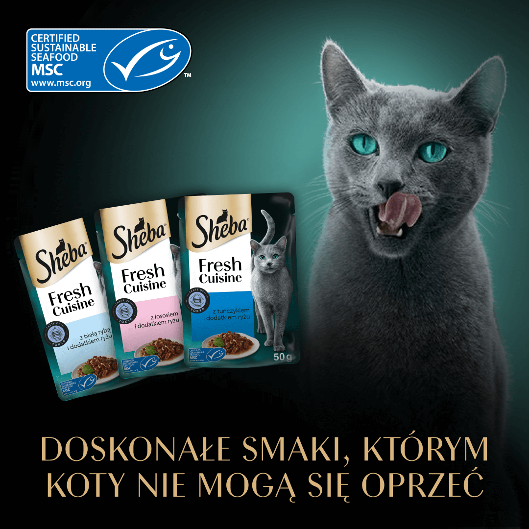 Sheba Fresh Cuisine Taste of Tokyo Saszetki Mokra Karma Dla Kotów