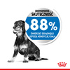 Royal Canin Mini Light Weight Care 1kg Karma Sucha Dla Psów Małych Ras Z Tendencją Do Nadwagi