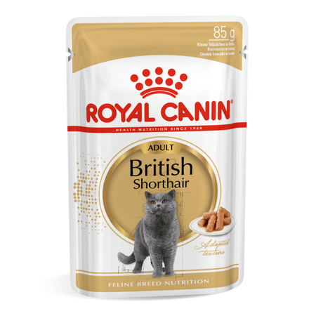 Royal Canin FBN British Shorthair Adult 24x85g Karma Mokra W Sosie Dla Kotów Dorosłych Rasy Brytyjski Krótkowłosy