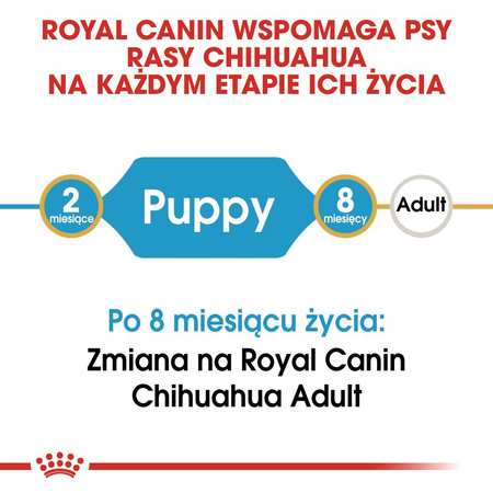 Royal Canin BHN Chihuahua Puppy 1,5kg Karma Sucha Dla Szczeniąt Do 10 Miesiąca Rasy Chihuahua
