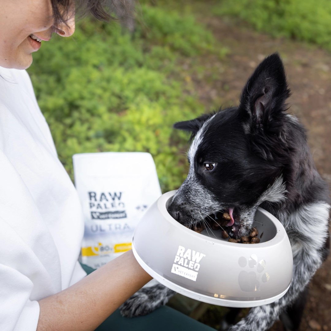 Raw Paleo Ultra Medium&Large Puppy Turkey to pełnoporcjowa karma dla psów rosnących ras średnich i dużych.