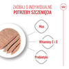 Royal Canin Starter Mousse Mother & Babydog 6x195g Karma Mokra Mus Dla Suk W Czasie Ciąży Laktacji I Szczeniąt
