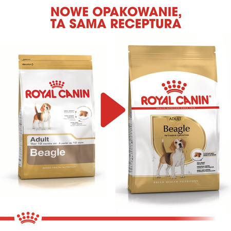 Royal Canin BHN Beagle Adult 12kg Karma Sucha Dla Psów Dorosłych Rasy Beagle