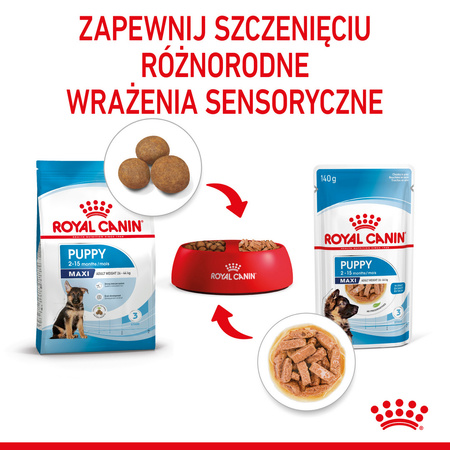 Royal Canin Maxi Puppy 140g Karma Mokra W Sosie Dla Szczeniąt Do 15 Miesiąca Życia Ras Dużych
