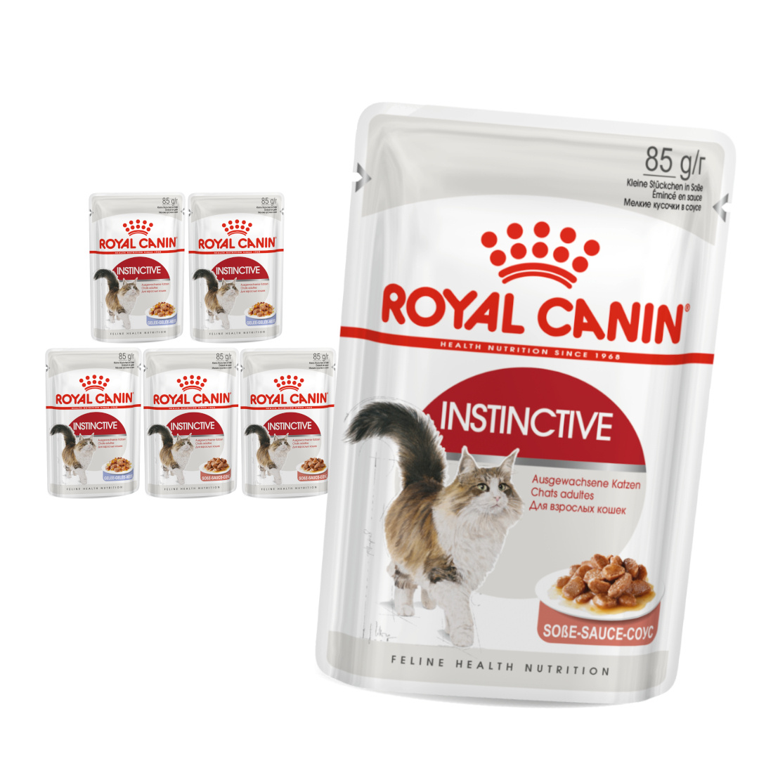 Royal Canin Instinctive FHN Karma Mokra W Sosie i Galaretce Dla Kota