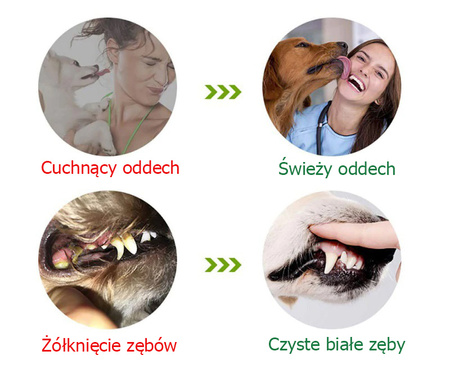 Gryzak, zabawka dentystyczna dla psa, rozmiar M, kolor Niebieski, szczoteczka do zębów