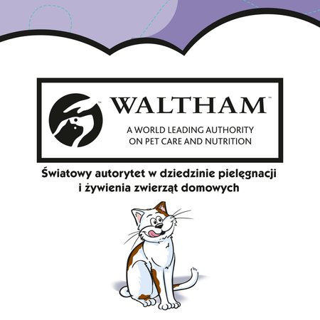 Dreamies z Wyśmienitą Kaczką 60g Przysmaki dla kota