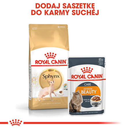 Royal Canin FBN Sphynx Adult 2kg Karma Sucha Dla Kotów Dorosłych Rasy Sfinks
